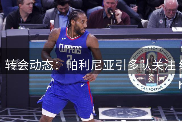 转会动态：帕利尼亚引多队关注 纽卡本菲卡展开竞争